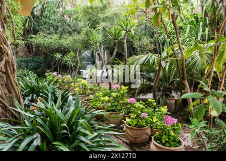 Giardino delle palme a Mimi Calpe, villa francese di lusso degli anni '1950 e hotel a Tangeri, Marocco Foto Stock