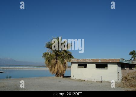 Salton City: Un tempo una città di villeggiatura, ora si confronta con le sfide ambientali. La comunità resiliente persiste in mezzo al declino e all'abbandono Foto Stock