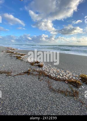 Conchiglie e alghe costeggiano la spiaggia sabbiosa di Giove al mattino nuvoloso Foto Stock