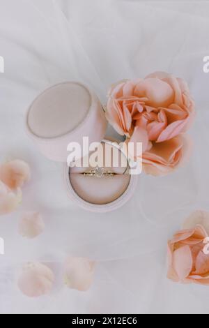 Anello di innesto in scatola di velluto con elegante arredamento in rosa Foto Stock