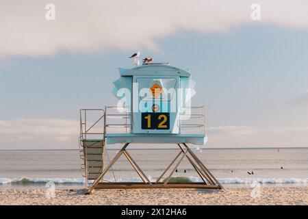 Gabbiani seduti sulla torre bagnino di fronte ai surfisti di Doheny Foto Stock