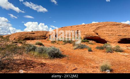 vista luminosa delle rocce rosse del deserto sotto un cielo azzurro. Foto Stock