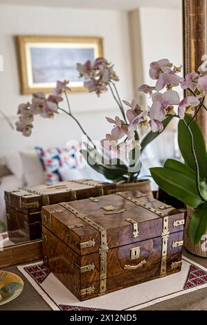 Orchidea che fiorisce nello specchio con portagioie nella residenza sul fiume Tamigi, Londra, Regno Unito Foto Stock