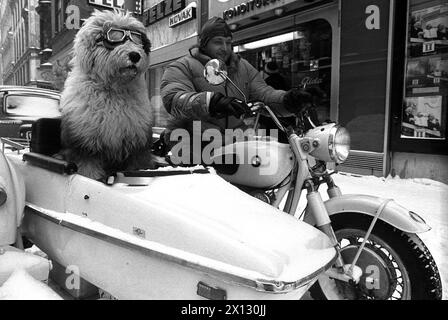 Vienna il 12 giugno 1987: Un motociclista con il suo cane come passeggero nella Vienna invernale. - 19870112 PD0010 - Rechteinfo: Diritti gestiti (RM) Foto Stock