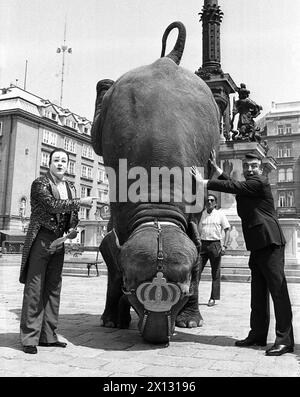 La foto è stata scattata il 13 giugno 1987 in occasione della consegna dei saluti dal sindaco di Monaco Georg Kronawitter al sindaco di Vienna Helmut Zilk attraverso i clown del circo 'Krone' e mostra Lady elefant 'Bara' che fa una mano per Zilk. - 19870613 PD0002 - Rechteinfo: Diritti gestiti (RM) Foto Stock