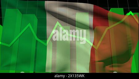 Immagine dell'elaborazione dei dati sulla bandiera della nigeria Foto Stock