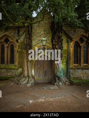 La porta di Tolkien alla chiesa di St Edwards, fiancheggiata da due antichi alberi di olmo. Storico cimitero di Stow on the Wold, Cotswolds, Inghilterra. Foto Stock