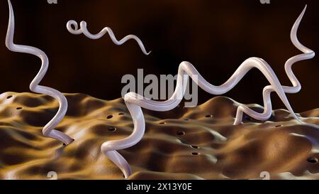 Rendering 3d di Borrelia burgdorferi, è un batterio che causa la malattia di Lyme, noto anche come borreliosi Foto Stock