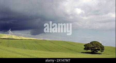 Turbina eolica su una collina verde con quercia sullo sfondo minaccioso del cielo nuvoloso, Bassaleg, Newport, Galles, Regno Unito Foto Stock