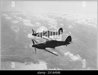 HURRICANE (HAWKER) MARK IIC - motore Rolls-Royce XX. N. 247 (Cina-Regno Unito) Squadron RAF Foto Stock