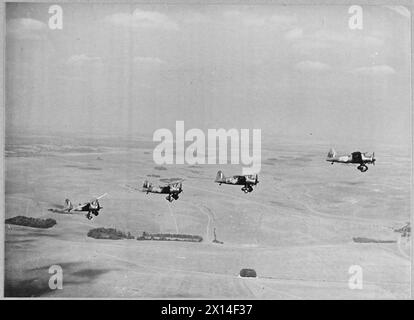Westland Lysander aerei in volo nella formazione echelon, dimostrando la ricognizione della RAF e la cooperazione dell'esercito durante la seconda guerra mondiale. La formazione facilita l'osservazione e le missioni di trasmissione dei messaggi sulle aree operative. Foto Stock