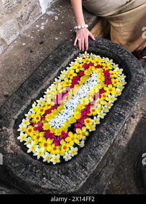 Dambulla, Sri Lanka - 20 gennaio 2019: Donna e piccolo pozzo pieno di fiori nel tempio della grotta di Dambulla noto anche come il Tempio d'oro di Dambulla. Foto Stock