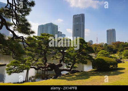 Tokyo, Giappone - 12 agosto 2023: All'interno dei giardini Hamarikyu. È un parco pubblico a Chuo Ward, Tokyo, Giappone. Foto Stock