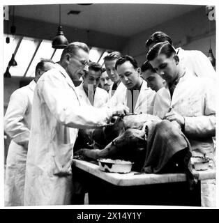 Il professor Tadeusz Rogalski insegna agli studenti di medicina dell'esercito polacco presso la Scuola polacca di Medicina, Università di Edimburgo, fornendo corsi e formazione per ufficiali e studenti per continuare la loro formazione medica e servire come rinforzo nei servizi medici militari tra il 1941 e il 1949. Foto Stock