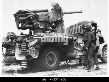 DOVE GLI ESERCITI ALLEATI SPERANO DI INCONTRARSI - LE FORZE ALLEATE AVANZANO NEL SUD - cannoni pesanti italiani catturati nell'avanzata alleata nel sud. Questa pistola e' una pistola da campo da 90 mm, British Army Foto Stock