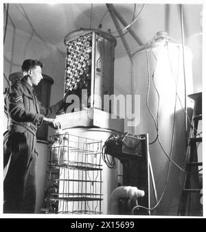 I flaconi di plasma congelati vengono essiccati in essiccatori primari e secondari sotto vuoto elevato nell'Army Blood Transfusion Service. La fotografia mostra il Butler Cpl. Che scarica l'essiccatore secondario mentre l'essiccatore primario è visibile sulla destra. Foto Stock