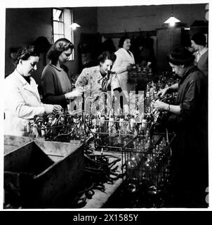 IL SERVIZIO DI TRASFUSIONE DI SANGUE DELL'ESERCITO - assemblaggio finale di bottiglie per il prelievo di sangue. Lavoratori volontari e ATS British Army Foto Stock