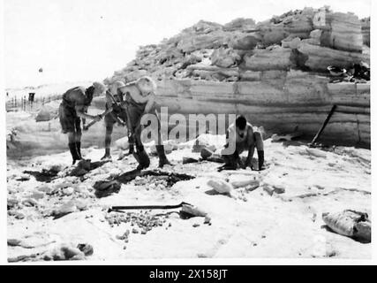 Un gruppo di lavoro dell'esercito britannico costruisce e rafforza le posizioni difensive nel deserto occidentale, mostrando attività ingegneristiche e di fortificazione. Foto Stock
