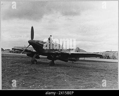 HURRICANE (HAWKER) MARK IIC - motore Rolls-Royce XX da 1460 cv. N. 87 Squadron (Province Unite) RAF. Agente pilota F W Mitchell Foto Stock