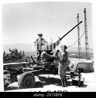 Cannoni antiaerei del 2nd Light Anti-Aircraft Regiment, Royal Canadian Artillery, in posizione vicino a Reggio durante l'invasione dell'Italia. Foto Stock