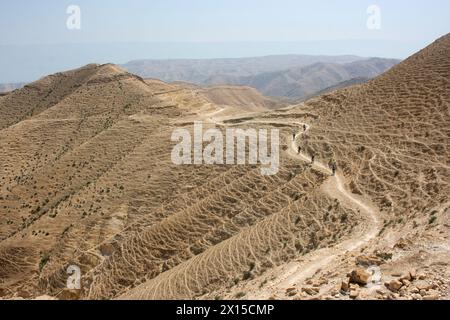 Gita in mountain bike nel deserto della Giudea, Israele Foto Stock