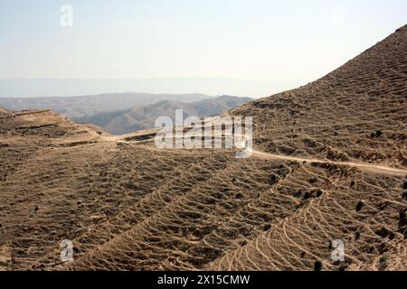 Gita in mountain bike nel deserto della Giudea, Israele Foto Stock