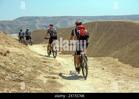 Gita in mountain bike nel deserto della Giudea, Israele Foto Stock