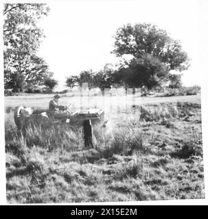 IN Una SCUOLA DI GUIDA e MANUTENZIONE DEL ROYAL ARMY, il tutto attraverso un boggy patch, British Army Foto Stock