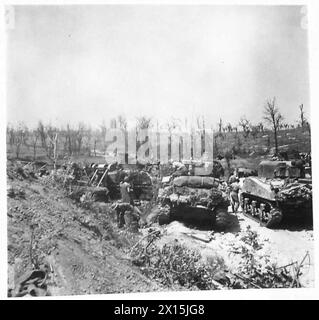 ITALIA: L'ASSALTO ALLA LINEA GUSTAV - i carri Sherman si fermarono vicino a San Angelo vicino al campo di battaglia dell'esercito britannico Foto Stock