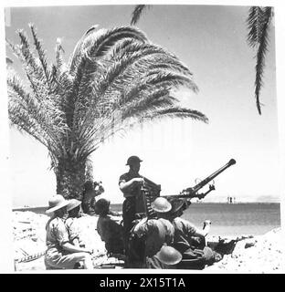 Gli equipaggi Bofors dell'esercito britannico individuano un sito ideale per il dispiegamento dopo sei mesi di operazioni di guerra in montagna a Bizerta. Foto Stock