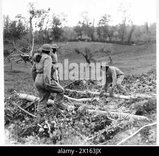 ITALIA: OTTAVO ESERCITO FRONTAZIONE PIONIERI del BASUTO - che posa alberelli su mattoni per realizzare un fondo stradale per i carri armati dell'esercito britannico Foto Stock