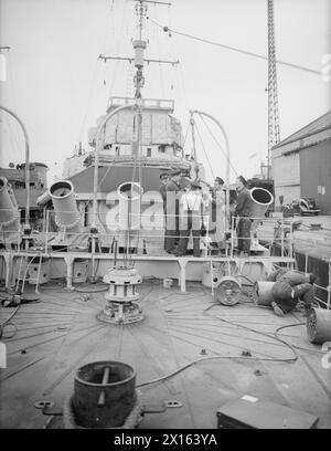 TEST SPERIMENTALI DI NUOVI LANCIATORI DI PROFONDITÀ. 27 LUGLIO 1941, A BORDO DELLA HMS WHITEHALL. I NUOVI LANCIATORI SONO MONTATI SUL FO'C'SLE DEI CACCIATORPEDINIERE E VENGONO AZIONATI DAL PONTE. - I lanciatori sono carichi. I valori nominali stanno abbassando le cariche di profondità pronte per le prove Foto Stock