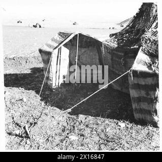 THE BRITISH ARMY IN THE TUNISIA CAMPAIGN, NOVEMBRE 1942-MAGGIO 1943 - Un carro armato manichino di esca britannico sul campo in Tunisia, dicembre 1942 British Army, British Army, 1st Army Foto Stock