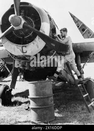 PRESSO LA HMS RAJALYIA, ROYAL NAVAL AIR STATION, COLOMBO, CEYLON. FEBBRAIO 1945, ATTIVITÀ E PERSONALE DELLA STAZIONE. - Il meccanico dell'aria J W Letson, di Glasgow, che smantellava un bombardiere Avenger danneggiato alla Naval Air Station Foto Stock