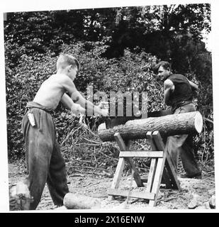 LAVORO CIVILE IN NORMANDIA - fare un gran lavoro; uomini con Pick and Shovel British Army, 21st Army Group Foto Stock