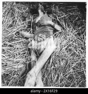 LE TRUPPE IN AVANZATA RAGGIUNGONO CELLE - il cadavere a causa della fame. L'uomo morto era un esercito russo britannico, 21st Army Group Foto Stock