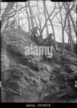 COMMANDOS BELGI IN ADDESTRAMENTO, Regno Unito, 1945 - uomini del 2° Battaglione, 2° Brigata belga mezza corsa, mezza scivolata su un ripido pendio boscoso come parte del loro addestramento Commando, da qualche parte in Gran Bretagna Foto Stock