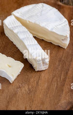 formaggio morbido lavorato con muffa bianca sul tavolo, formaggio bianco a fette con primo piano di muffa Foto Stock