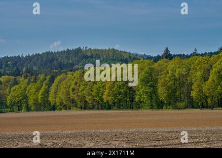 Paesaggio rurale primaverile della bassa Slesia Polonia Foto Stock