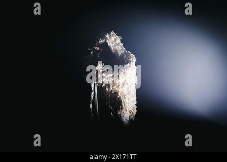 Milano, Italia. 11 aprile 2024. Cosmo si esibisce dal vivo all'Alcatraz di Milano, l'11 aprile 2024. (Foto di Alessandro Bremec/NurPhoto) credito: NurPhoto SRL/Alamy Live News Foto Stock