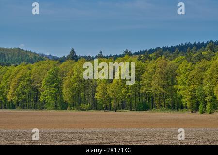 Paesaggio rurale primaverile della bassa Slesia Polonia Foto Stock