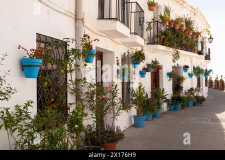 Case dipinte di bianco con i famosi vasi di fiori blu contro il muro, nel bellissimo villaggio di montagna di Mijas in Andalusia; Costa del Sol. Foto Stock