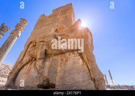 Imponenti statue di Lamassu si ergono alte, gettando intricate ombre tra le antiche rovine di Persepoli, Iran. Immortalato in una giornata intensa con la sk blu Foto Stock