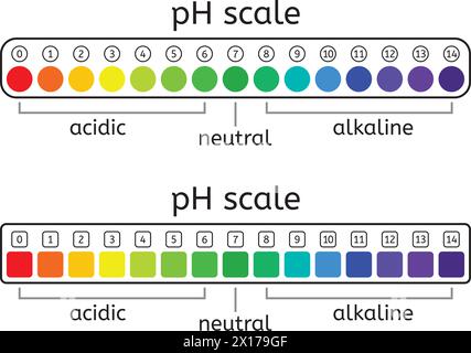 scala vettoriale del ph set di tabella dei valori acida, neutra e alcalina per soluzioni acide e alcaline. illustrazione della misurazione della scala ph isolata su b bianco Illustrazione Vettoriale