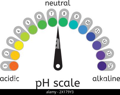 Vector scala di ph di acidi,folle e valore alcalino grafico per soluzioni acide e alcaline. scala di ph illustrazione di misurazione Illustrazione Vettoriale