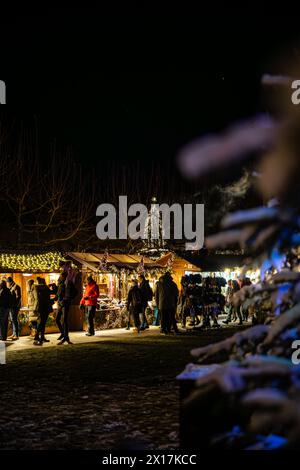 Descrizione: I visitatori del mercatino di Natale camminano lungo le bancarelle e godono dell'atmosfera invernale con la neve sugli alberi. Costanza (Costanza), Lak Foto Stock