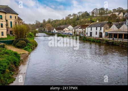 Una vista sul fiume Cleddau nel centro di Haverfordwest, Pembrokeshire, Galles in un giorno di primavera Foto Stock