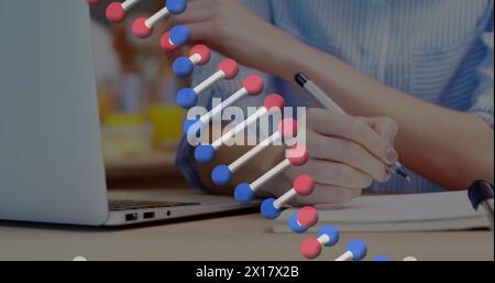 Immagine di un filamento di dna che gira su una donna d'affari che usa un notebook Foto Stock