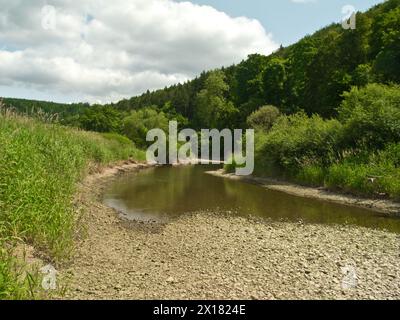 Sito di infiltrazione nel Danubio vicino a Immendingen, distretto di Tuttlingen, Baden-Wuerttemberg, Germania Foto Stock