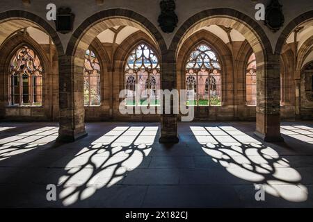 Chiostro, Basilea Minster, Basilea, Cantone di Basilea città, Svizzera Foto Stock